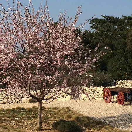 Kanajt 4* Punat