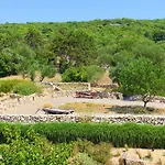 Kanajt