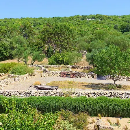 Kanajt פונאנט