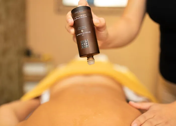 酒店 卡纳吉特酒店 普纳特