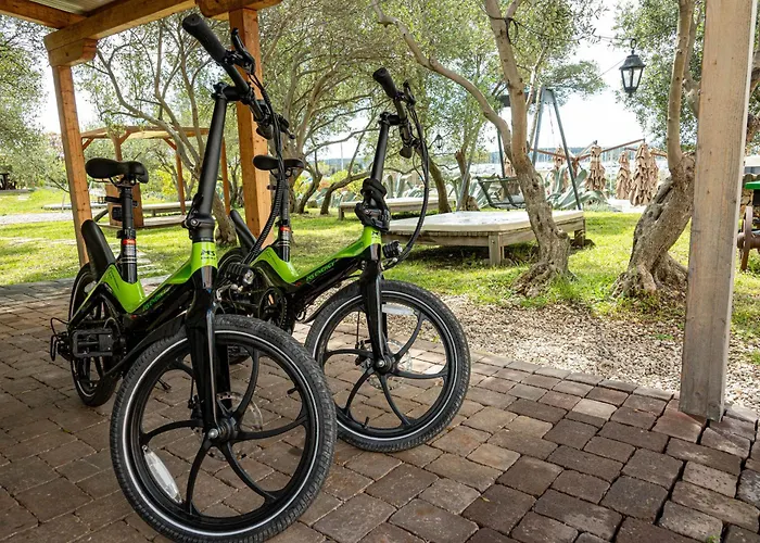 酒店 卡纳吉特酒店 4*